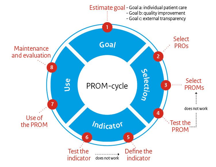 PROM Cycle