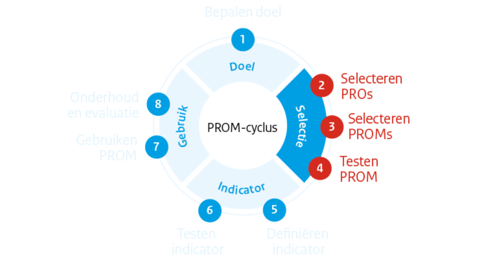 PROM-cyclus fase 2: Selectie